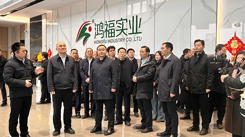 感受发展“加速度”，衡阳市领导深入衡山县重大项目向日葵视频在线下载实业现场